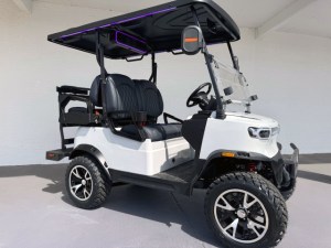 White Teko Turbo 2 Plus 2 Golf Cart
